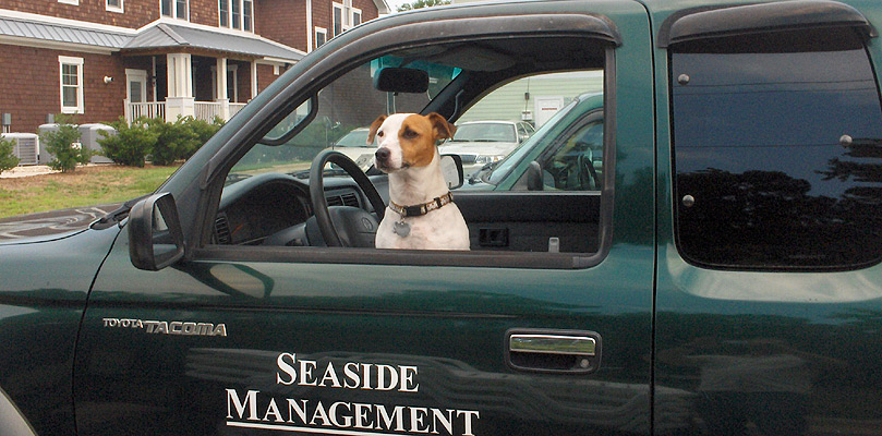 Welcome to Seaside Management